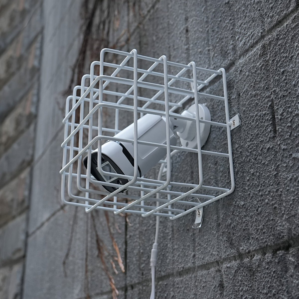 modernhistory's tweet photo. Name a country that needs security cameras for its security. https://t.co/TWCFNzL0F4
