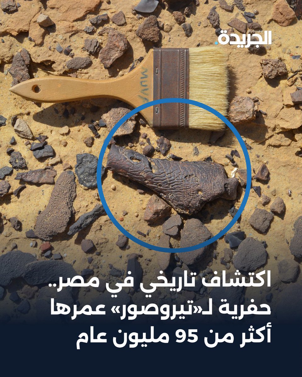 aljarida's tweet photo. اكتشاف أول حفرية لزاحف طائر في مصر عمرها أكثر من 95 مليون عام

• جناح «تيروصور» عثر عليه في صخور تكوين البحرية بالصحراء الغربية

• الحفرية تسد فجوة في سجل الزواحف الطائرة وتكشف تفاصيل نادرة عن جهاز طيرانها

https://t.co/ydpGN7tTyI https://t.co/wYqosp9Gas