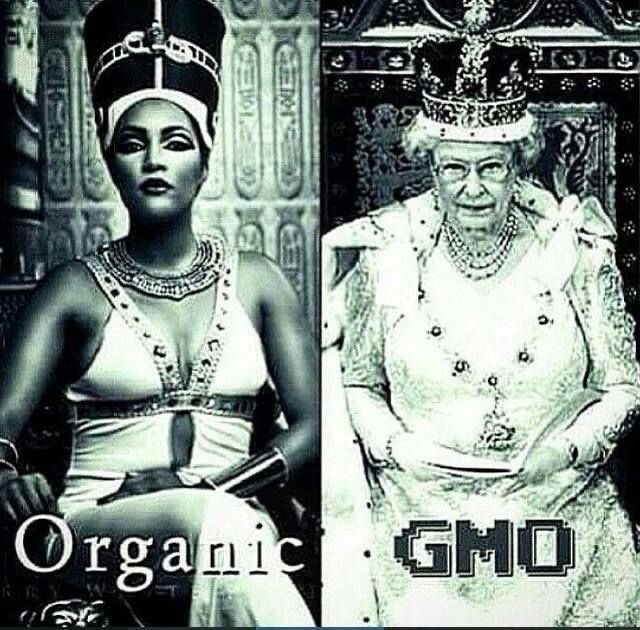 AwakenChirp's tweet photo. Original.                                  GMO. https://t.co/5B5y4HC3lf