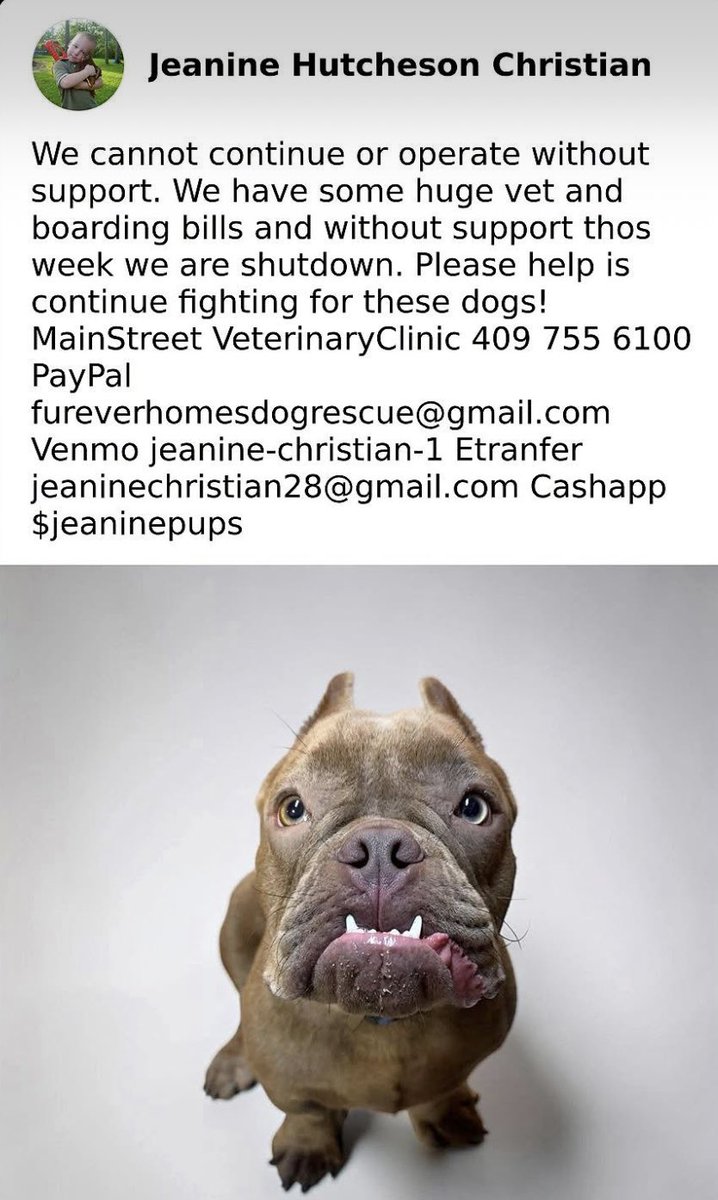 RoCoGB's tweet photo. 💔Hearts are breaking
@FHDRofSETX will be forced 2 stop saving kill-listed dogs, if they can't clear their boarding bill.
😞Pledges fell short & they’re frozen.
❌No funds = no space = they can't stop euthanasia
🙏Plz help them keep saving lives.
Every $ truly helps
DONATE in reply: