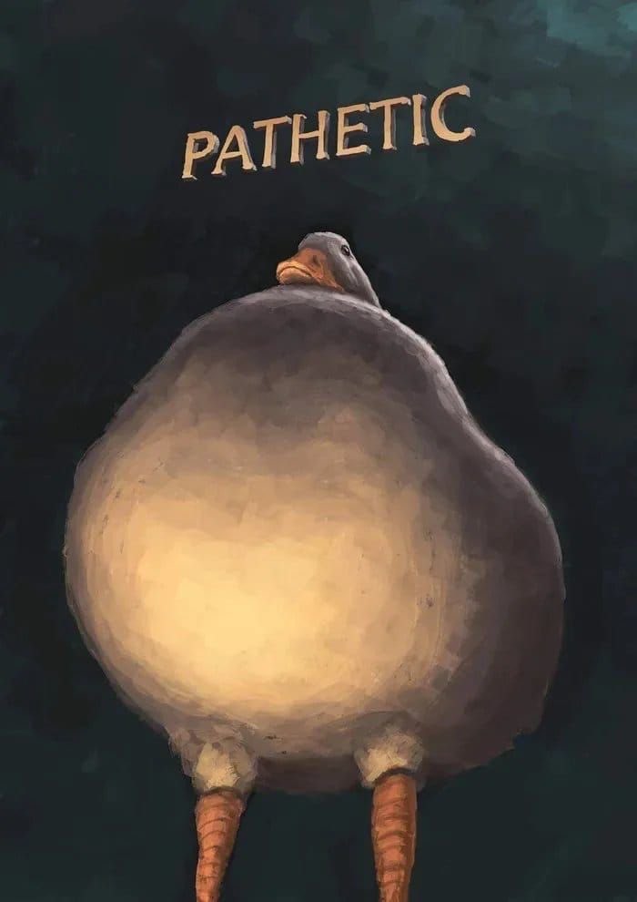 solisolsoli's tweet photo. Judgmental Duck by Tiberius Ciucinciu https://t.co/ZFNZeCIdnf