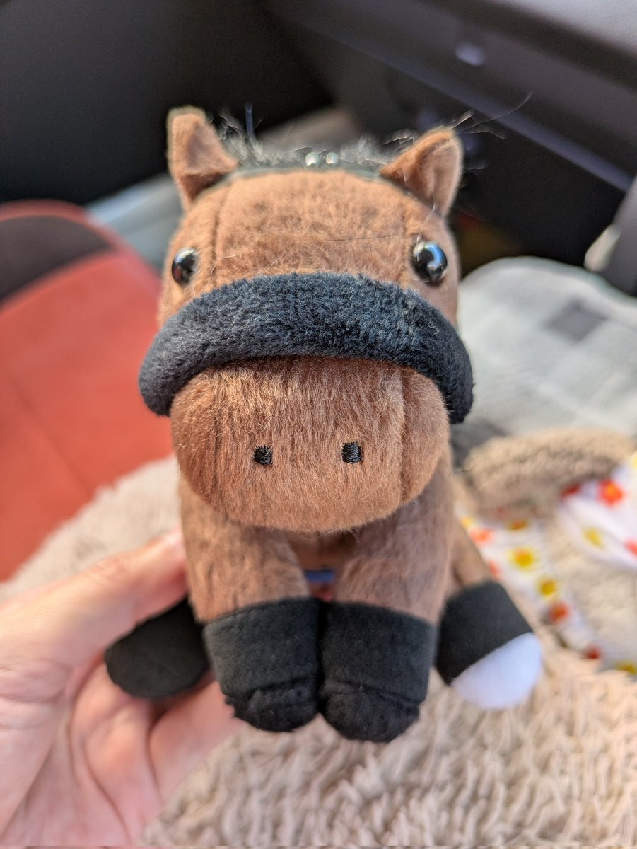 0713_1009's tweet photo. やっと お迎えできた
飼って(買って)くれた相方さん
ｱﾘ*:･(*-ω人)･:*ｶﾞﾄ https://t.co/gZZPzD1BX7
