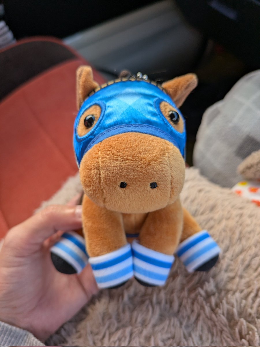 0713_1009's tweet photo. やっと お迎えできた
飼って(買って)くれた相方さん
ｱﾘ*:･(*-ω人)･:*ｶﾞﾄ https://t.co/gZZPzD1BX7