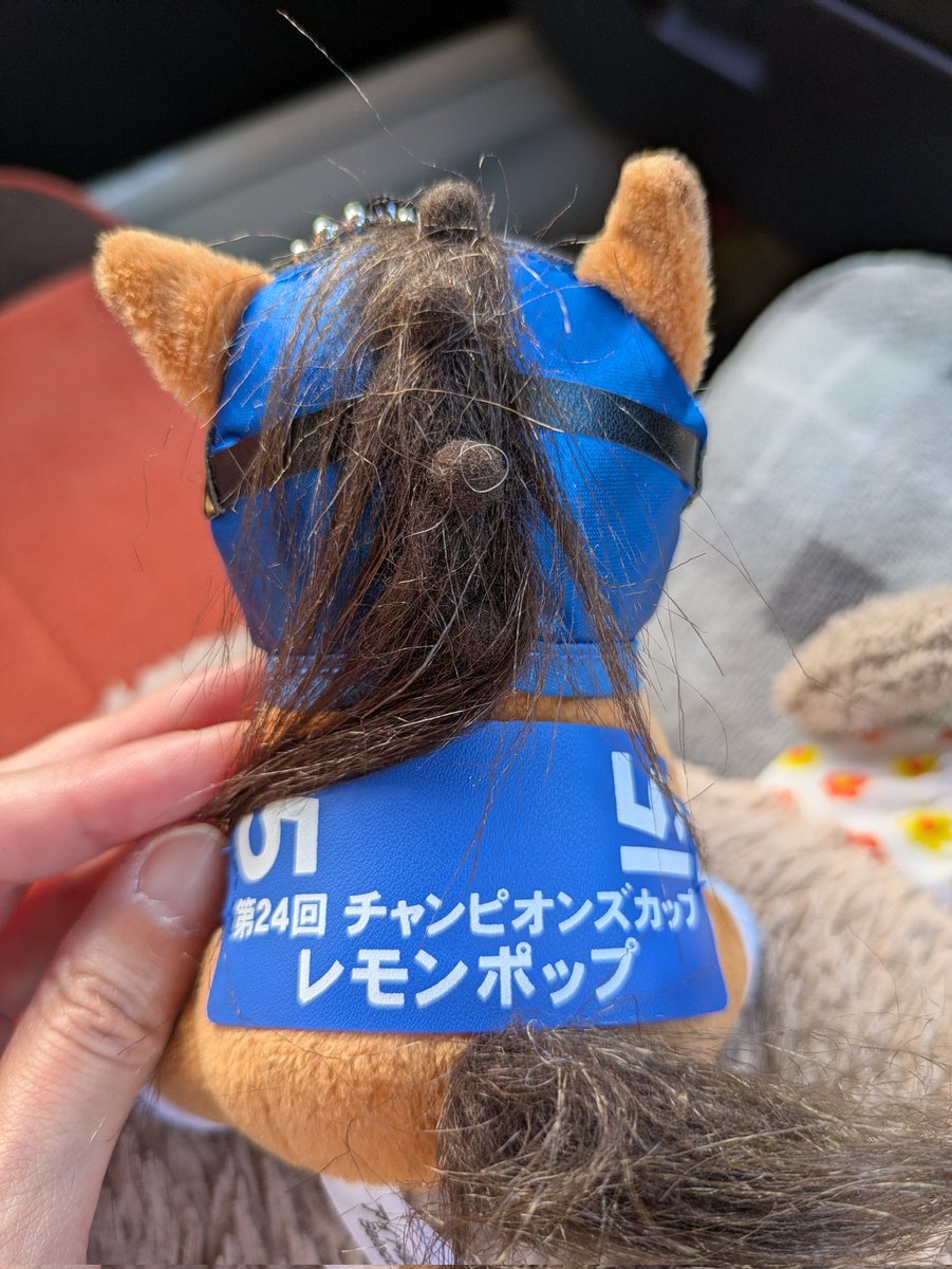 0713_1009's tweet photo. やっと お迎えできた
飼って(買って)くれた相方さん
ｱﾘ*:･(*-ω人)･:*ｶﾞﾄ https://t.co/gZZPzD1BX7