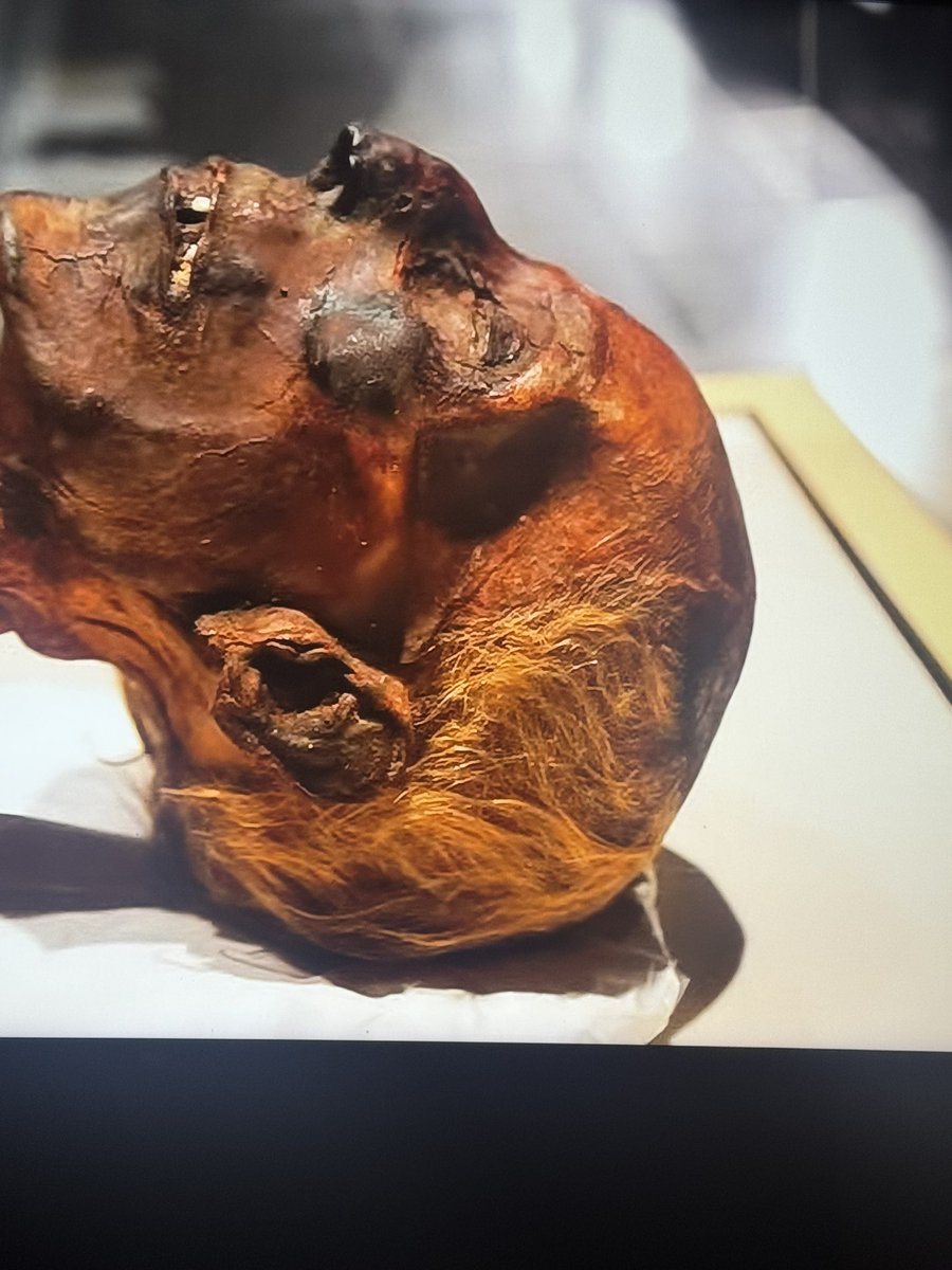 PaulGolding's tweet photo. This is off my TV. 
It’s the mummy of ancient Egyptian pharaoh. 
His hair is bright blonde. 
The ancient Egyptians were white.
Only white people have blonde hair. 
No other race has blonde hair. https://t.co/WpXJ8pA8WX