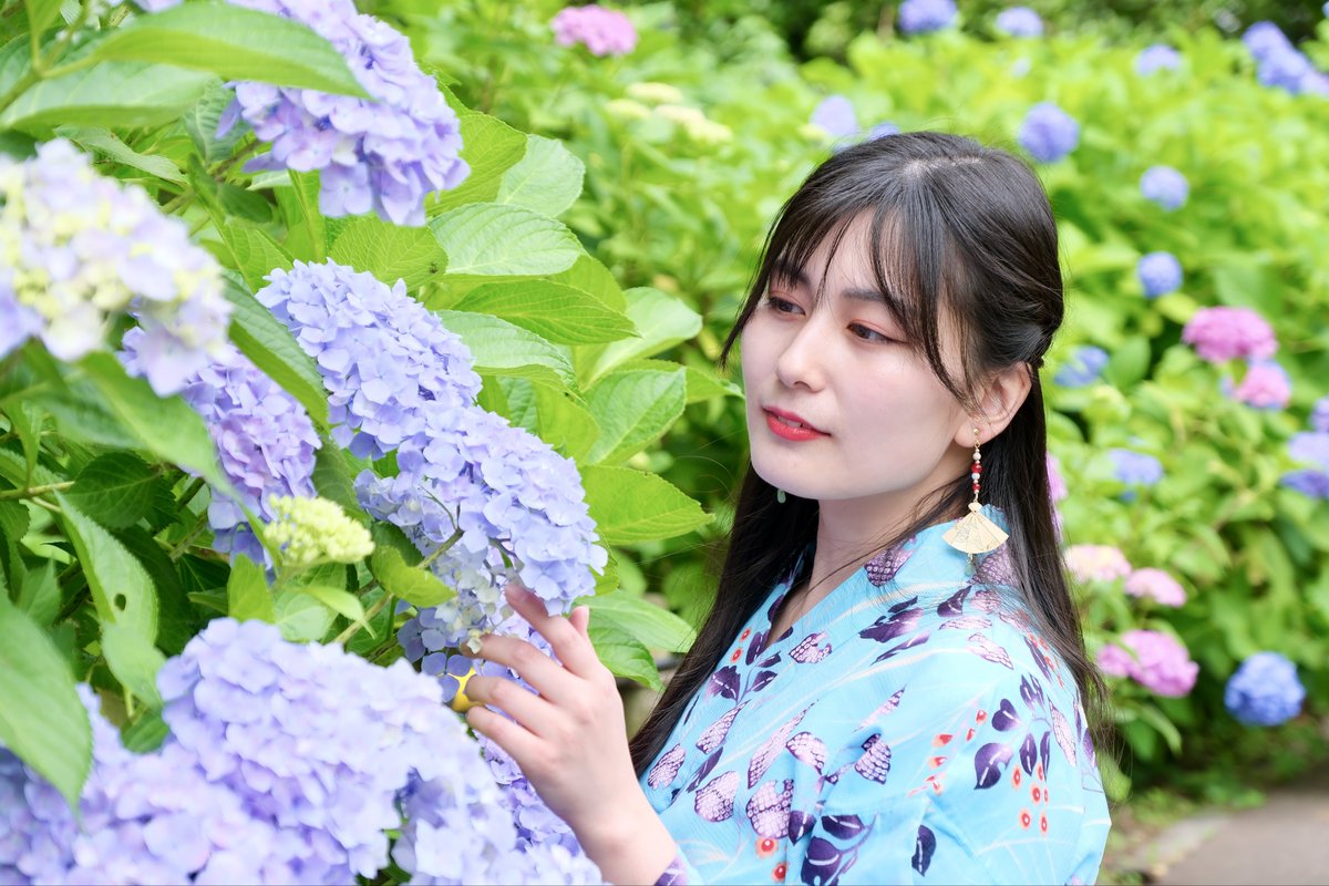 nobuo_photo's tweet photo. りんちゃんと紫陽花ポトレ

凜々♔.ﾟ  @rinrin_tweet_ 

#紫陽花 https://t.co/VK8oSKMpDz