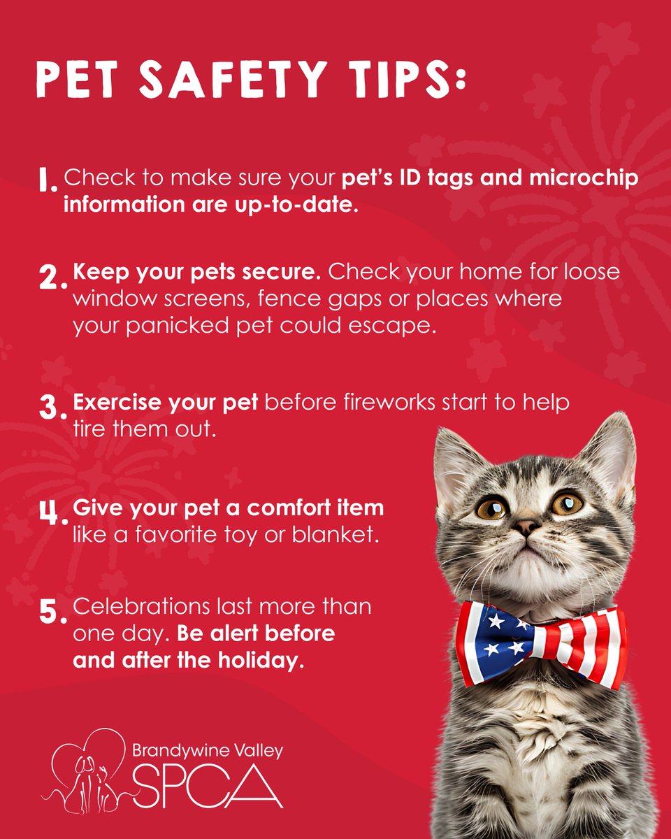 BrandywineSPCA's tweet photo. Fireworks, cookouts, and celebrations are just around the corner! Make sure your pets are set up for the holiday and if your pet is lost, try searching with Petco Love Lost. https://t.co/uXvjtqHMpz

All of our campuses will be CLOSED July 4 and will reopen on Sun. July 5. ❤️🤍💙 https://t.co/O6b2K5vbpU