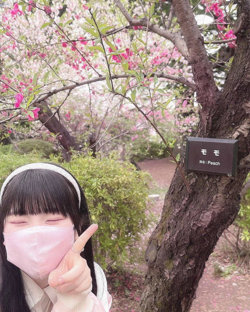 taksosui's tweet photo. 2026年7月1日（水）
おはきゅんでございます🍑

今日は「壱岐焼酎の日」

1995年（平成7年）の今日、
「酒税の保全及び酒類業組合等に関する法律」の
地理的表示を保護する規定に基づき、
国税庁が長崎県壱岐市の「壱岐焼酎」を地理的表示に
指定した。壱岐焼酎の美味しさをPRすることが目的。 https://t.co/VNk5oYSLaI