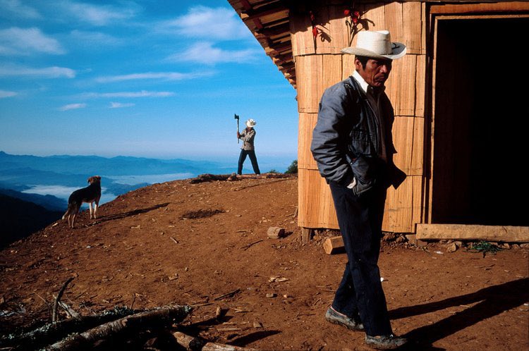 aseelswaid9's tweet photo. Rural life in Oaxaca, Mexico. https://t.co/4QzyFVxAhz