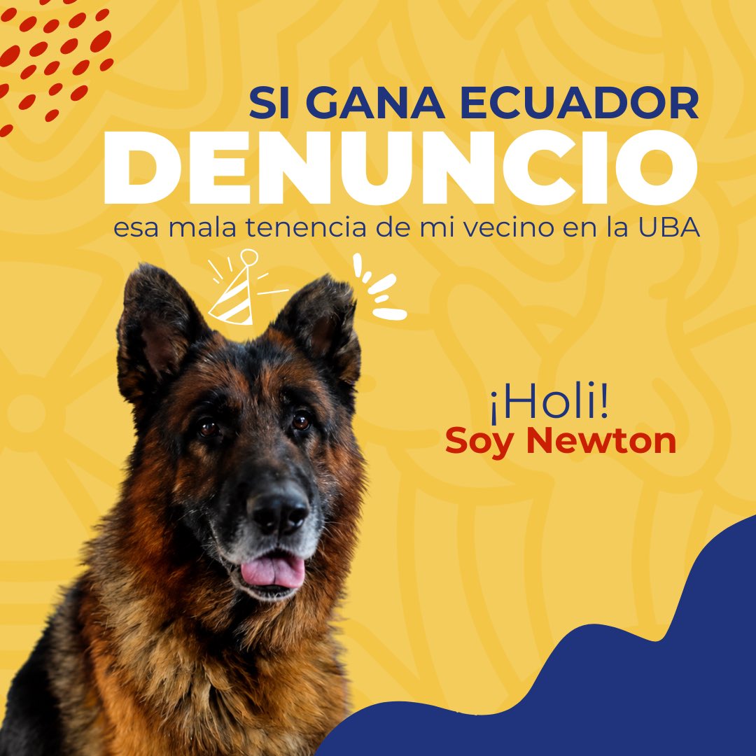 UBAQuito's tweet photo. 🇪🇨🐾 #AdopcionesUBA | Hoy todos queremos que gane Ecuador… pero, gane o pierda, hay promesas que sí podemos cumplir. 💛 https://t.co/kgh7ePtQqt