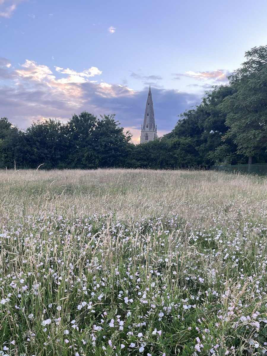 ITattum's tweet photo. Water meadows https://t.co/BM3rn3g822