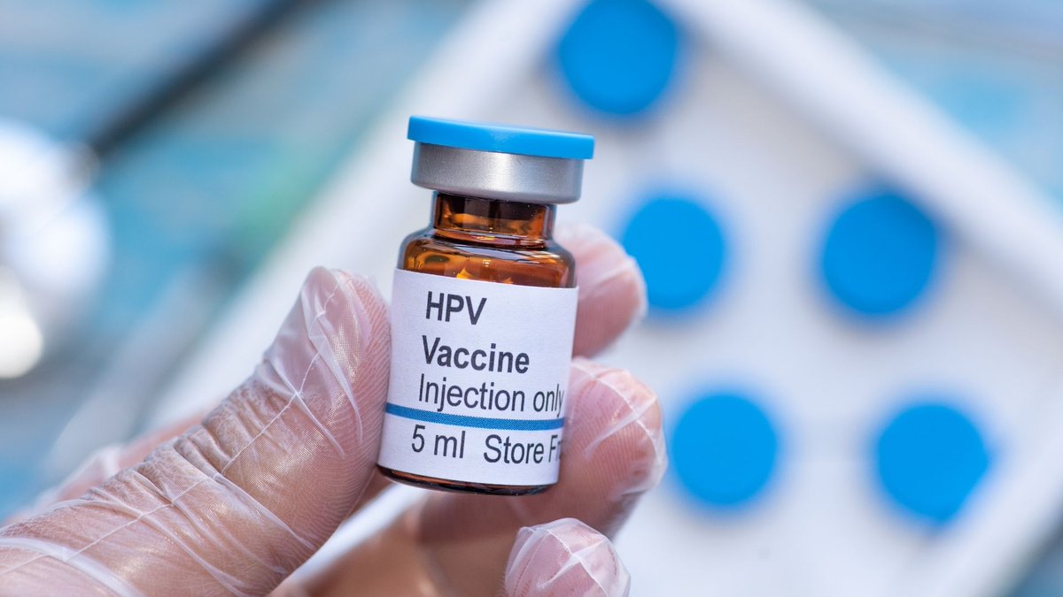 Bonsfluidos's tweet photo. https://t.co/FjJvRKpiKM
Do beijo à camisinha, da vacina ao câncer: entenda como o HPV realmente é transmitido e saiba como se proteger. #HPV #IST #vacina https://t.co/34q30lcUu0