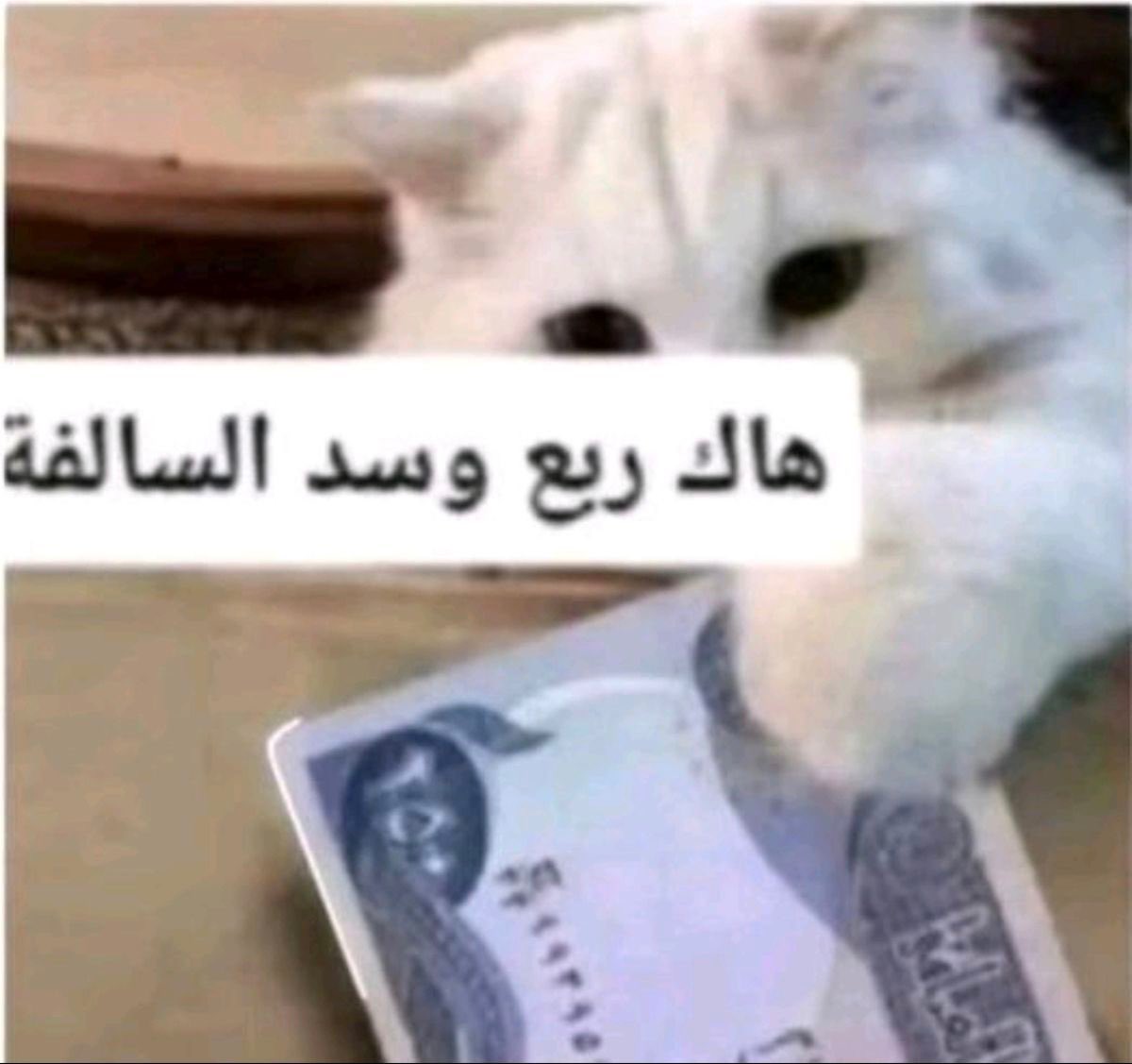 Sa18WukY's tweet photo. طلع الكنب عشان ي��د حلوقنا الين اعلان الخروج https://t.co/yR7MOtrCOG