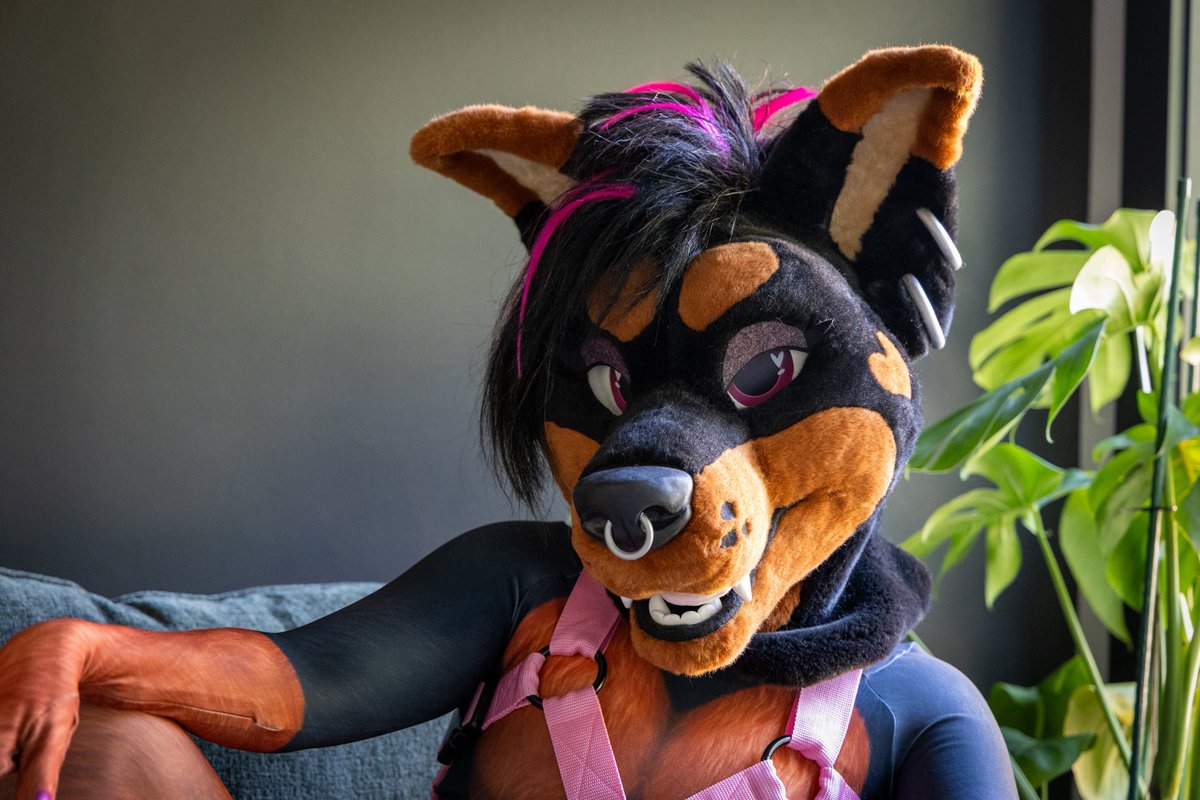 itsSIGNAL's tweet photo. I will be mean or green at AC this weekend.

Jk, I’m nice, I don’t bite (hard). Come hug me >:((( https://t.co/JgX4RSP8R1