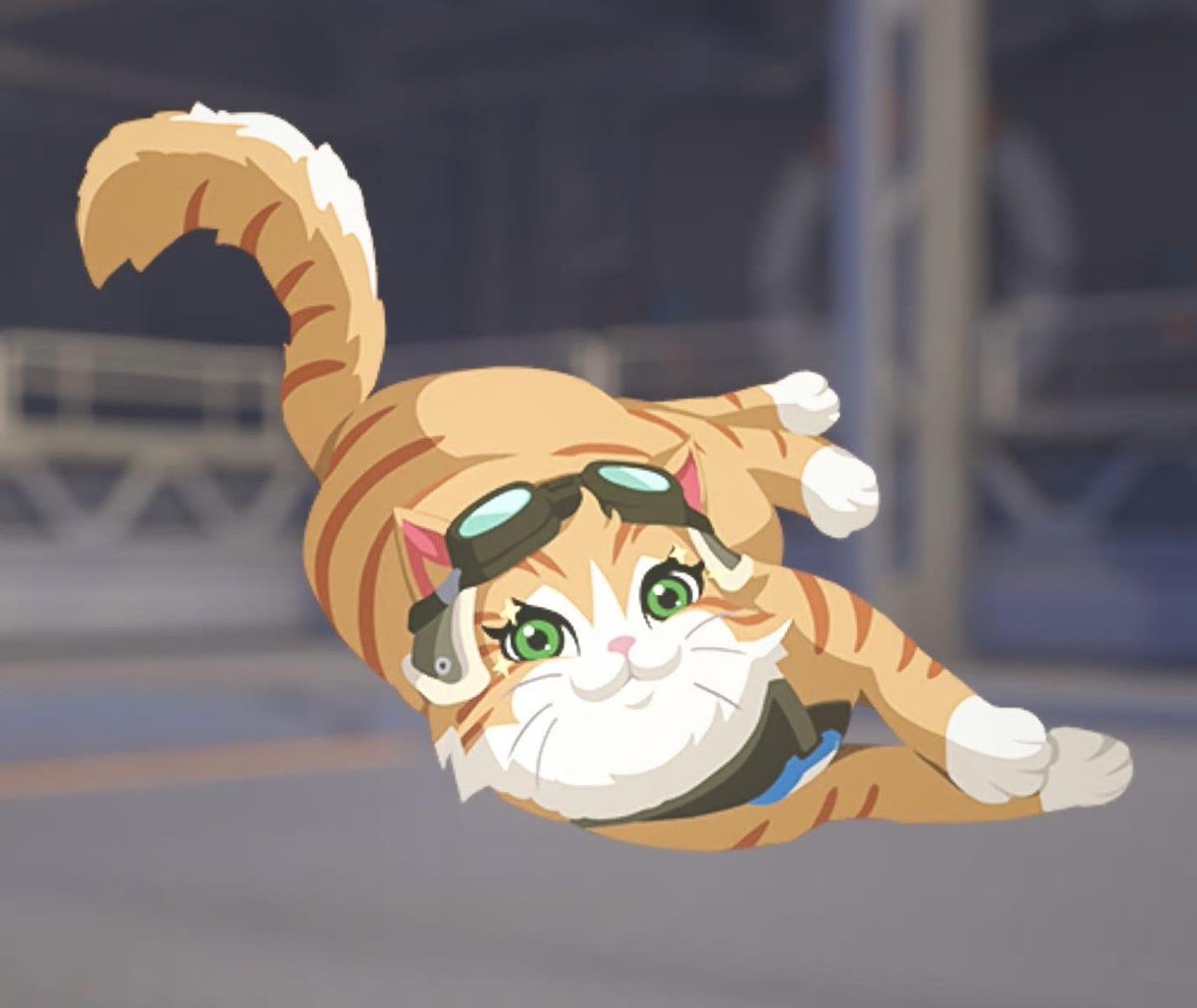jetpackcatt's tweet photo. meowwwww meow meow 😸 🐾 https://t.co/1ZdyyLjfac