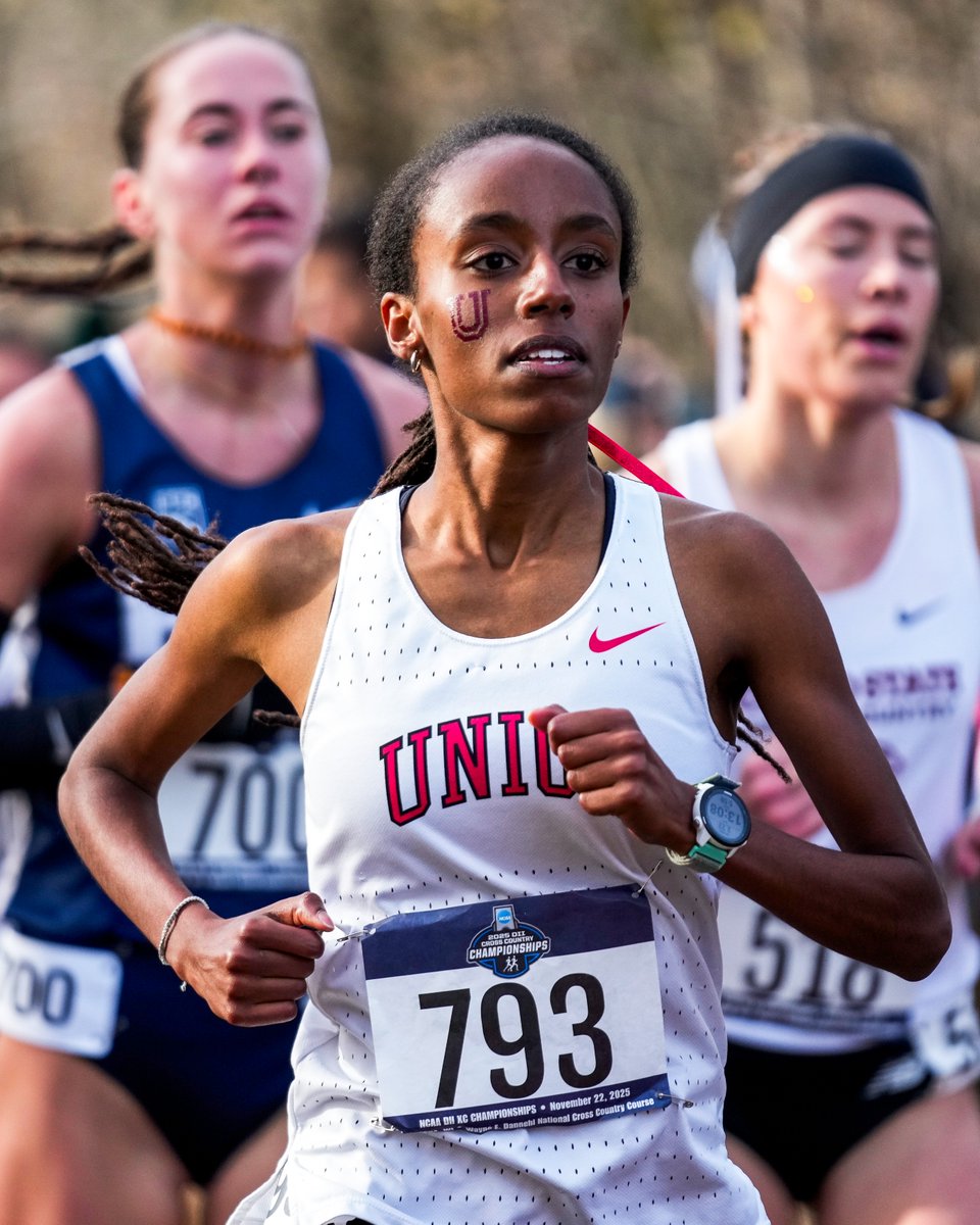 NCAA Division II tweet media