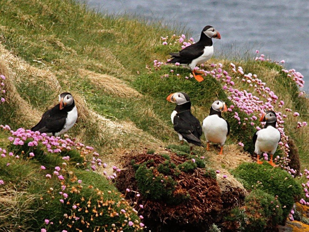 brainrotbbygirl's tweet photo. it’s us! https://t.co/WYloYvpIJU