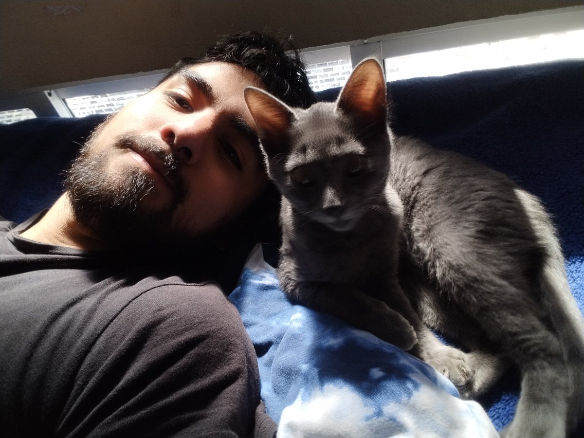 abysmal_vvolf's tweet photo. Nunca conocí a otro gato tan tierno y cariñoso. https://t.co/6aGLyHv0fk