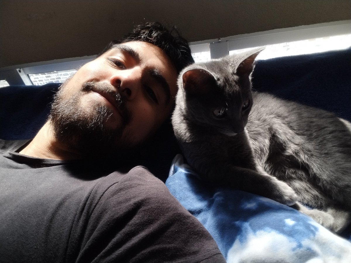 abysmal_vvolf's tweet photo. Nunca conocí a otro gato tan tierno y cariñoso. https://t.co/6aGLyHv0fk