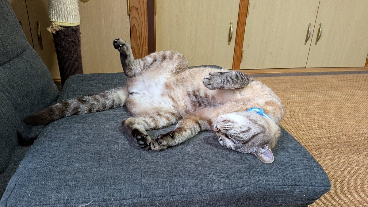 t100435530's tweet photo. 7月1日㈬☔皆さんおはようございます😺🎶今月も宜しくお願いします😸🐾しばらく雨が続きそうです😖 https://t.co/gHxWu0Q3mf