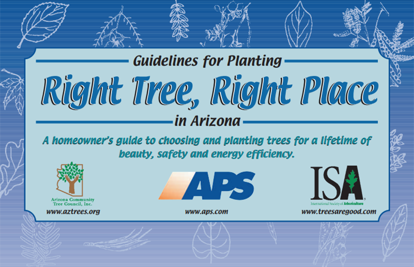 azwater's tweet photo. Well placed, drought-tolerant trees can help lower energy costs, improve air quality, reduce storm erosion and more! https://t.co/Pl7frcZoot  #TreeTuesday https://t.co/4n9sIKtqI5