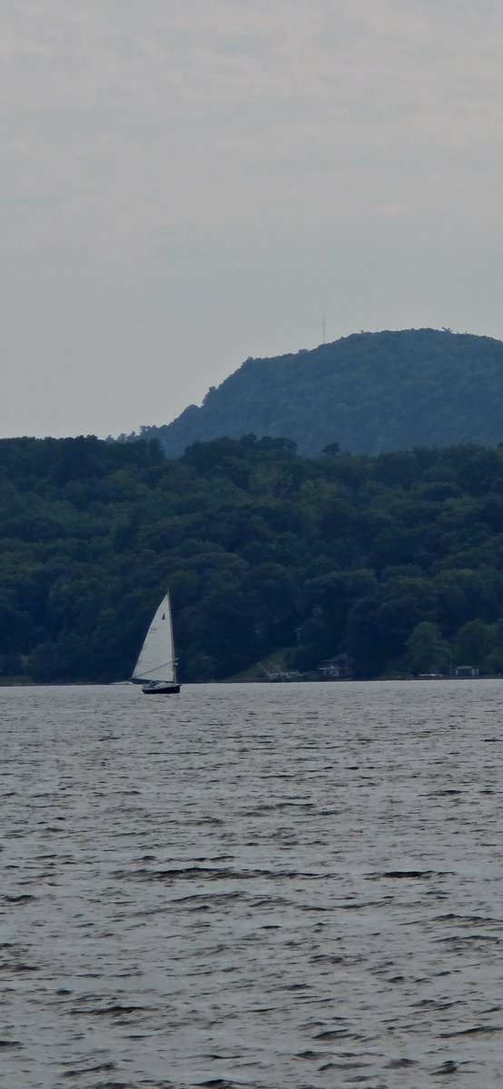 avecsesdoigts's tweet photo. Sailboats on the Hudson on a hot &amp; humid day https://t.co/L9Xw5SXhP1