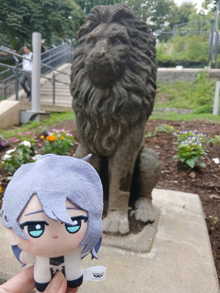 tyula3's tweet photo. ﾌﾝ！
いがみ合う神々がおこ…

ミライオンじゃない…？

東郷平八郎氏の邸宅にあったものをそのまま移設したという歴史のあるライオン像(東郷記念公園にて) https://t.co/URMty00E0D