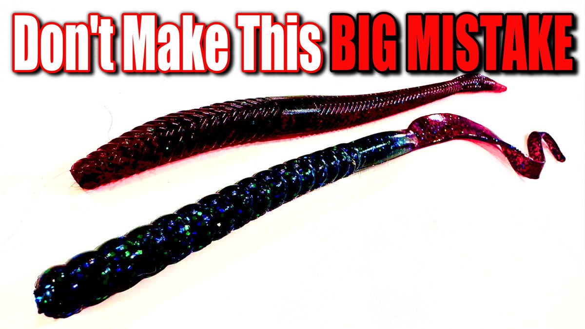 BassGeekFishing's tweet photo. Don't Get This Wrong When Fishing A Worm! 
https://t.co/sr4KJLnJ5y

#fishing #wormfishing #bassfishing #summerfishing #BigWorm #bassgeek https://t.co/B6kuUpAMPP