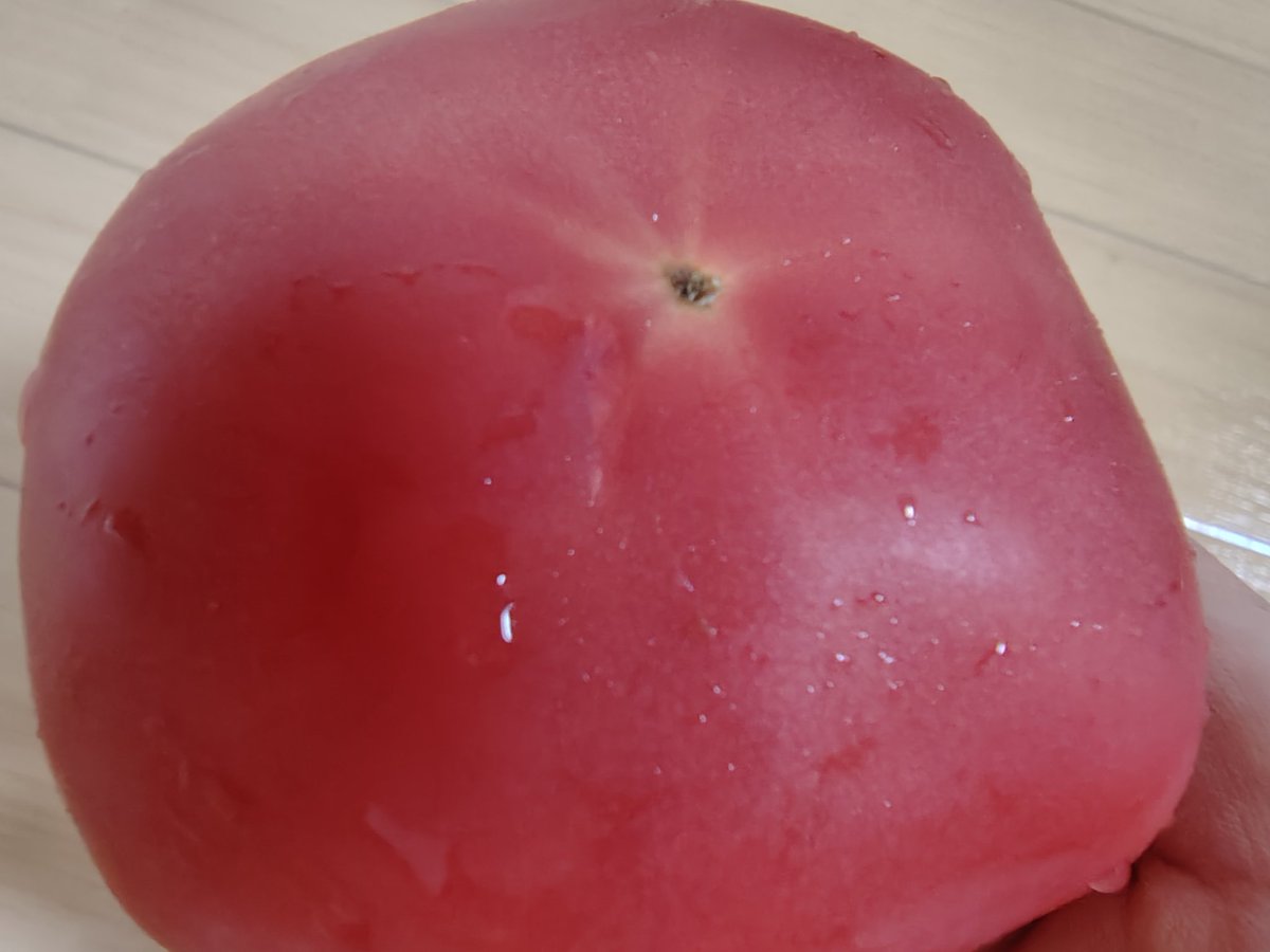 tomatooisi_bot's tweet photo. マ https://t.co/1OEPpgAwkj