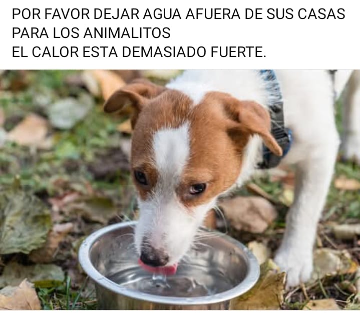 bettovarela's tweet photo. https://t.co/F4toA941ZL