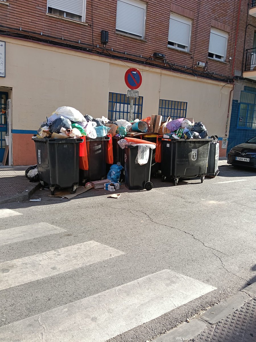 trasp_m's tweet photo. #Carabanchel, lleno de ratas, de plagas de cucarachas y a rebosar de basura.🥵 #Carabanchel también paga sus impuestos y por lo tanto, exige una buena gestión. 
#CarlosIzquierdoConsejal ¿no le da vergüenza ajena?Esto solo trae enfermedades. #PPCarabanchel #Municipalismo https://t.co/RoRuszwxYP