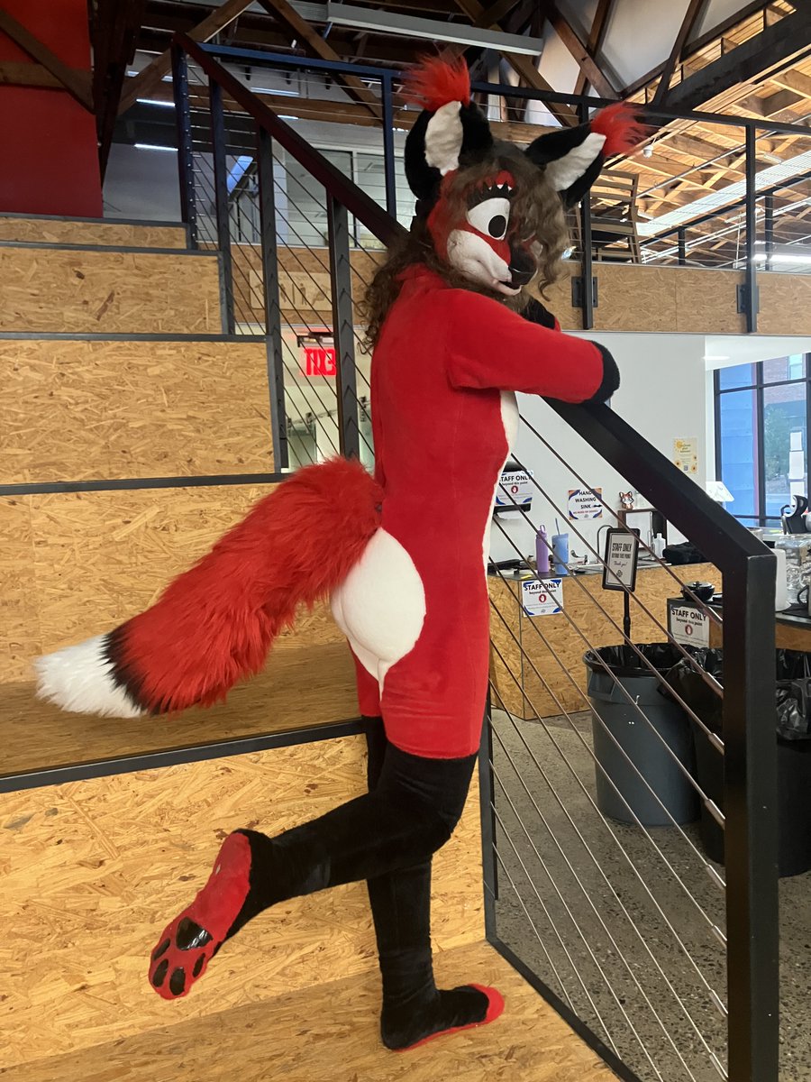 RitaFoxfursuits's tweet photo. I dunno if I had posted my personal fullsuit on here yet, probably have but here she is anyway. I made her, head to toe :33cc 
Yes, that is my real hair! https://t.co/PoZP2YcswJ
