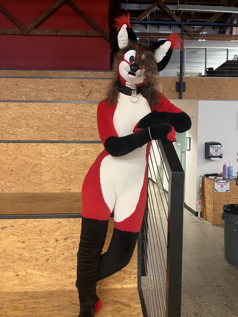 RitaFoxfursuits's tweet photo. I dunno if I had posted my personal fullsuit on here yet, probably have but here she is anyway. I made her, head to toe :33cc 
Yes, that is my real hair! https://t.co/PoZP2YcswJ