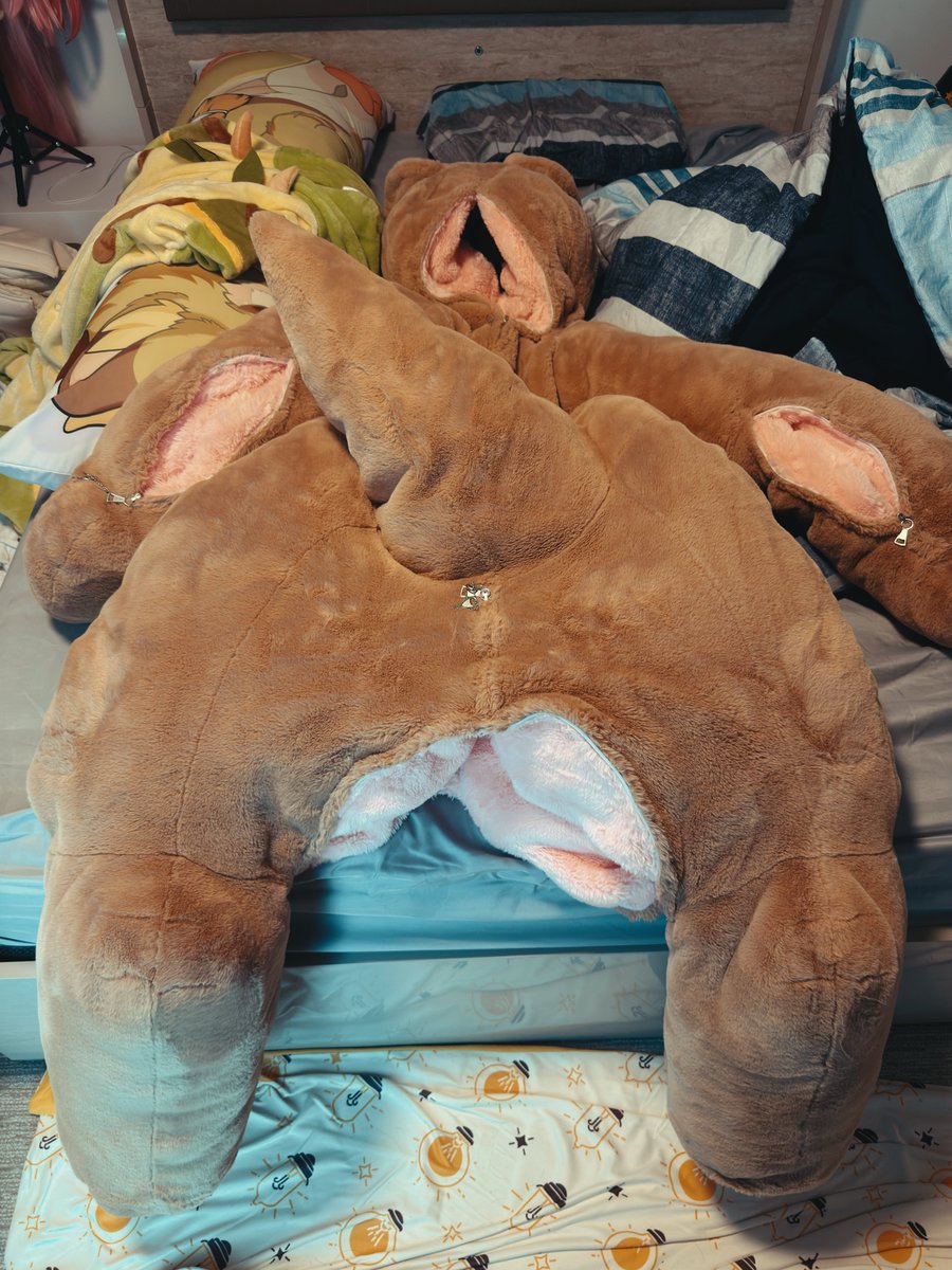 Randi_Not_Husky's tweet photo. Wanna go inside and be my little plushy toy? https://t.co/WrWIKEs35b