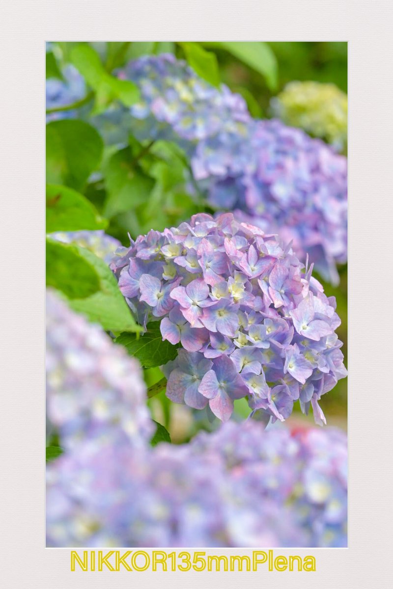 Tweet image