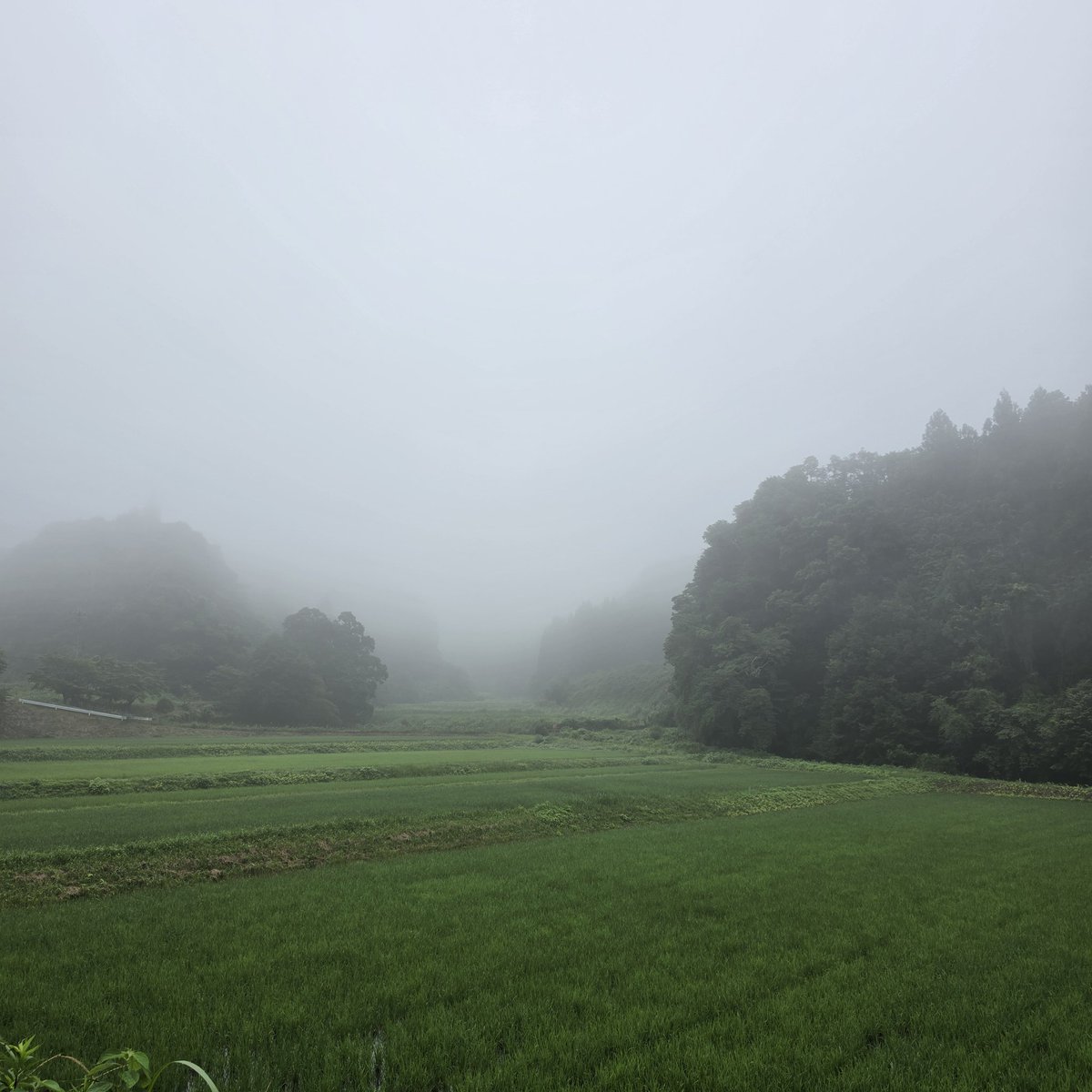 yk10415's tweet photo. おはようございます。7月１日(水)午前6時10分頃の景色。外気温19.9℃です。霧。Nara Uda Galaxy S26Urtla https://t.co/Xm4EUhX5EF