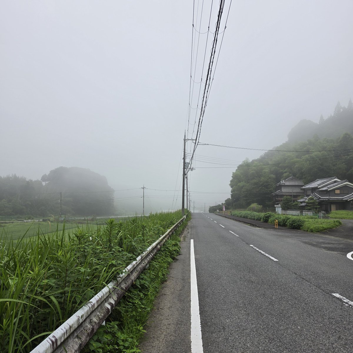 yk10415's tweet photo. おはようございます。7月１日(水)午前6時10分頃の景色。外気温19.9℃です。霧。Nara Uda Galaxy S26Urtla https://t.co/Xm4EUhX5EF