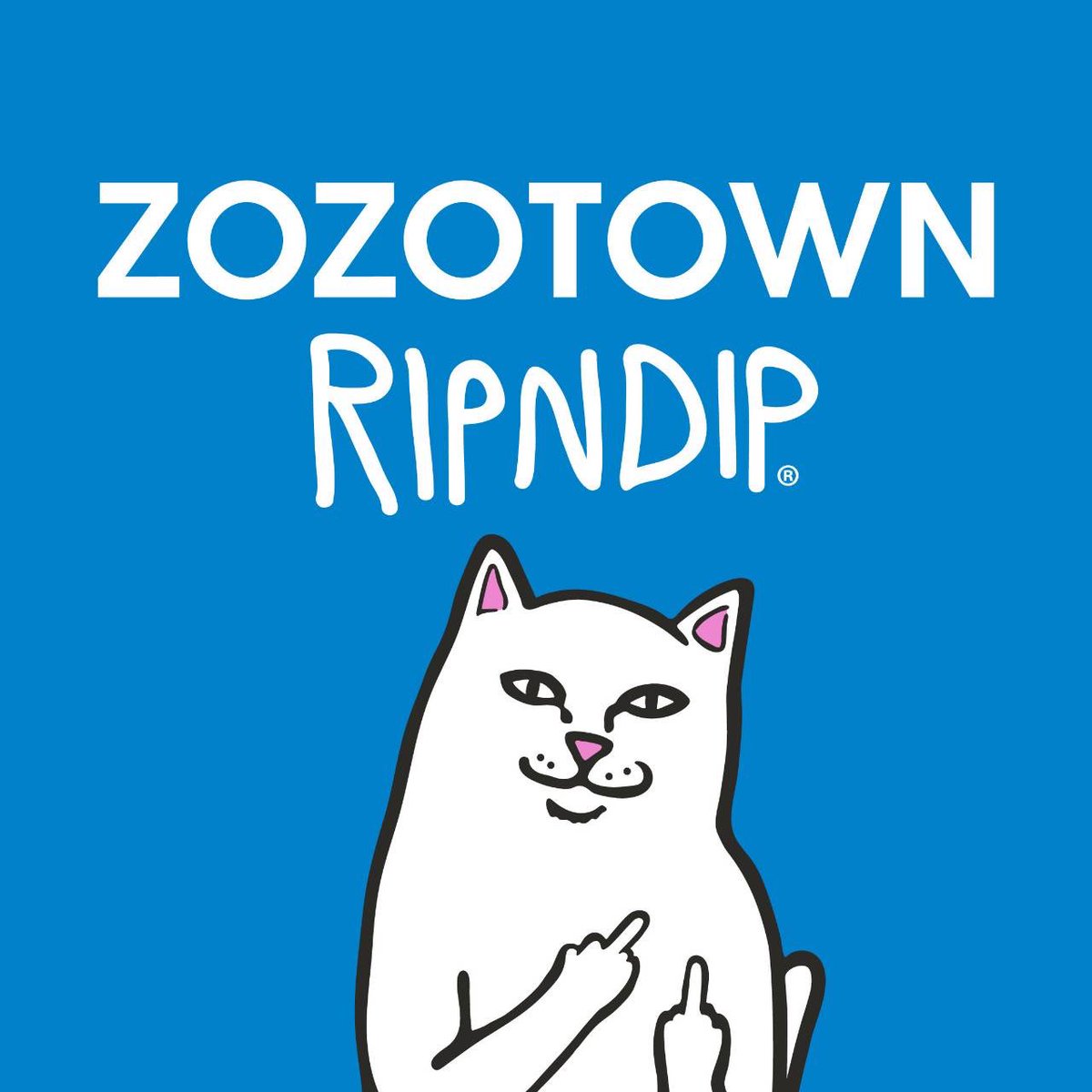 RIPNDIP JAPAN tweet media