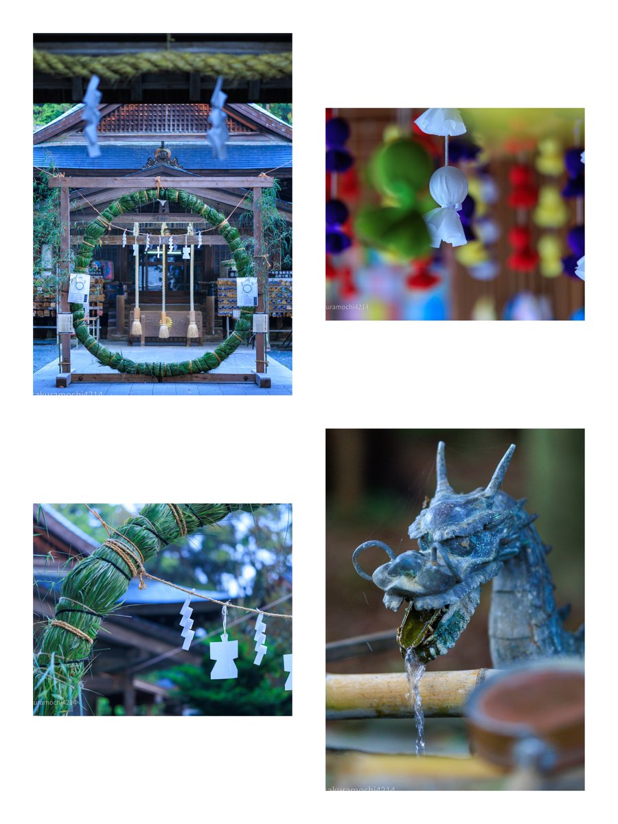 sakuramochi4214's tweet photo. #茅の輪 井伊谷宮
SIGMA 56mm f1.4
#GOOPASS レンタルレンズ https://t.co/soFWluBng4
