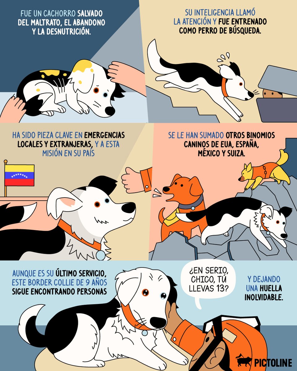 pictoline's tweet photo. ¡Gracias infinitas, Tsunami! 🇻🇪🐶🙏

#actualidad #mascotas #pictoline https://t.co/iWj1EPiVEo