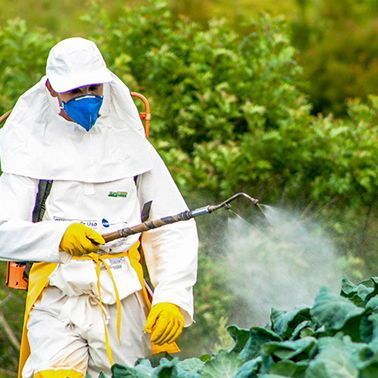 HQNewsNow's tweet photo. Trump has just approved the use two new forever chemical pesticides, or PFAS.

The EPA has approved diflufenican and epyrifenacil for use on food crops like soybeans, wheat, corn, broccoli, coffee, and peas. https://t.co/Kxr3IwYRPV