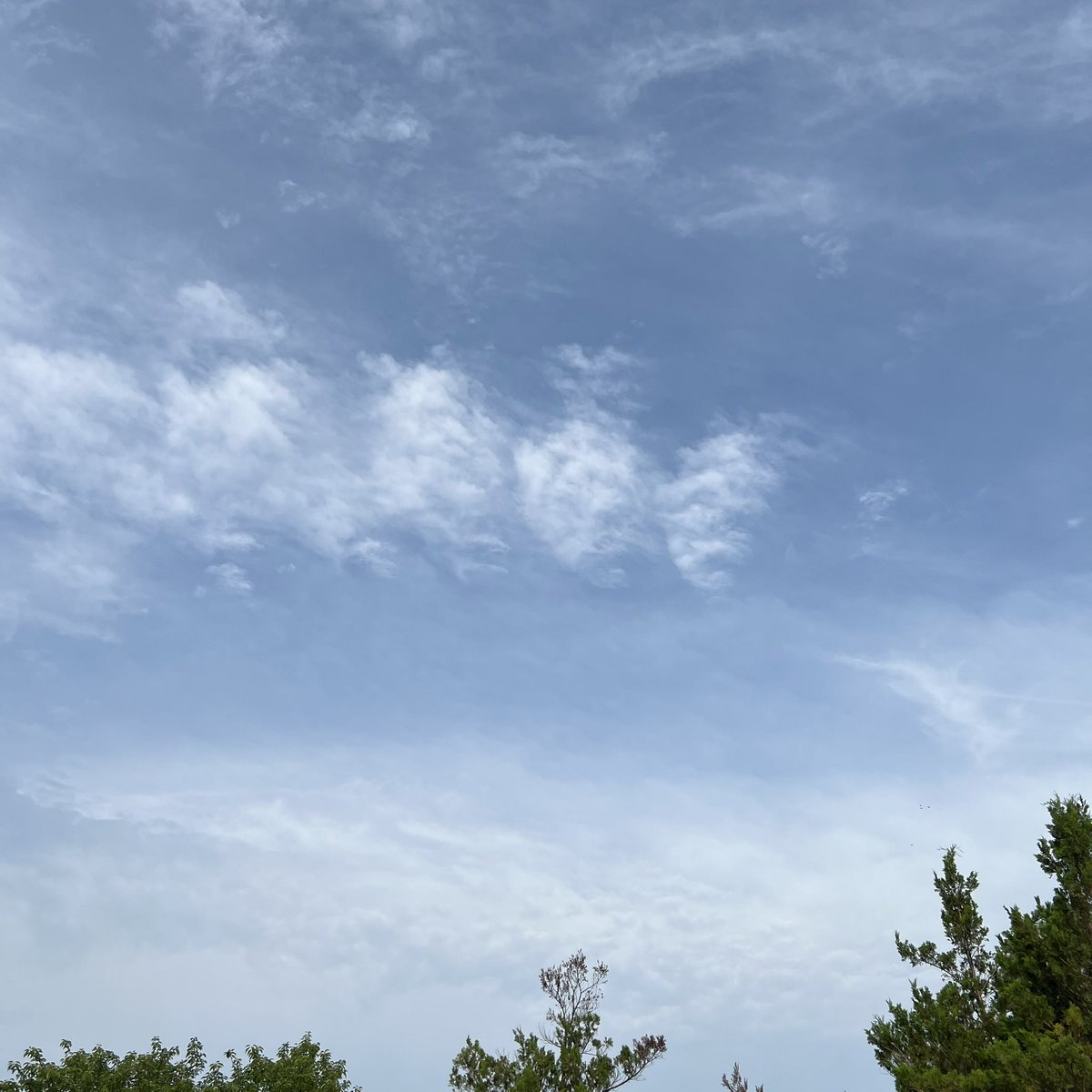 take777_'s tweet photo. おはようございます

空気スッキリ　天気良好☀️
カラッとして気持ちいい
だんだん雲が☁️多くなって
昼頃から雨が☂️降るらしい

今日も元気に頑張りましょう
٩( 'ω' )و https://t.co/WN4ixZFebl