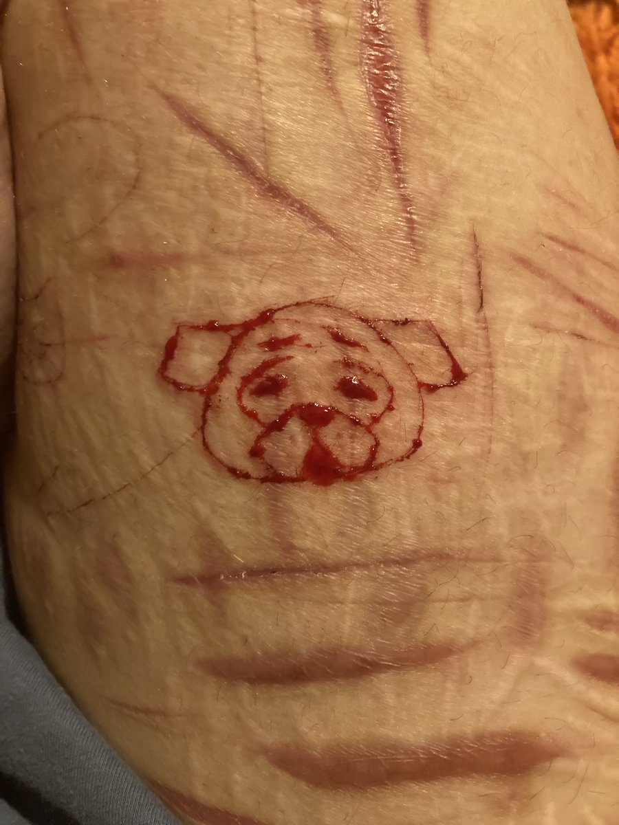 useless3102's tweet photo. Lil pug #shtwt #cutspo SH doodle https://t.co/BTgvkyRs4e
