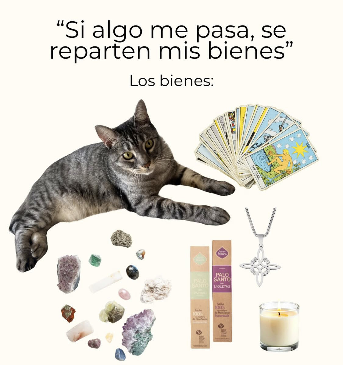 Elgatoquetuitea's tweet photo. https://t.co/YR7ihCBDCm