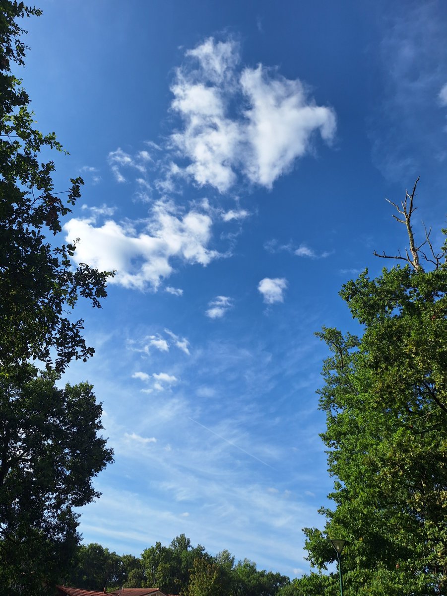 SoleilLibreFR's tweet photo. Y’a rien à modifier, tout est à détruire… 🌍💔🧏♂️
#Climat #Chemtrails #GéoIngénierie #SRM #Agriculture #Tourisme #Sols #Eau #Flore #Faune #Nature #Santé https://t.co/szpd08Bk53