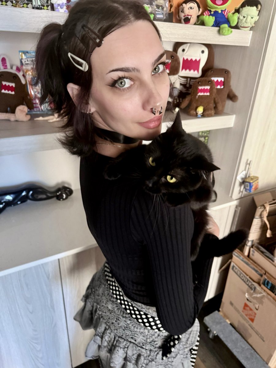 ibit3irl__'s tweet photo. Kitty girl https://t.co/wbwof5ACZD
