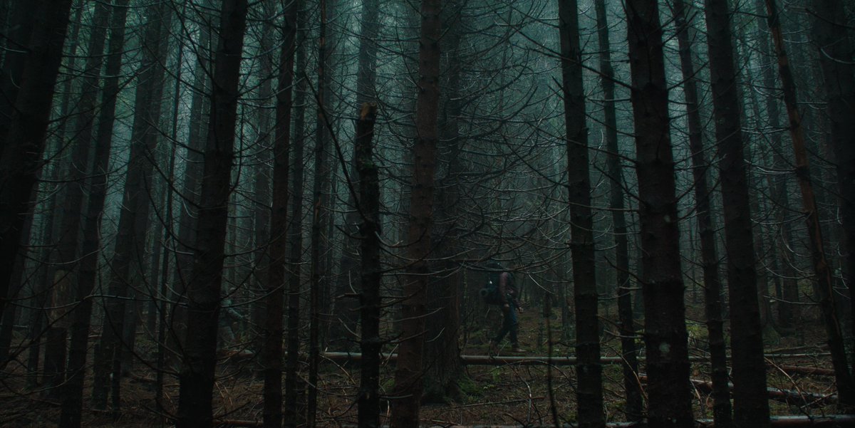 HauntedMovies's tweet photo. The Ritual (2017) dir. David Bruckner https://t.co/z7n3N6exBl