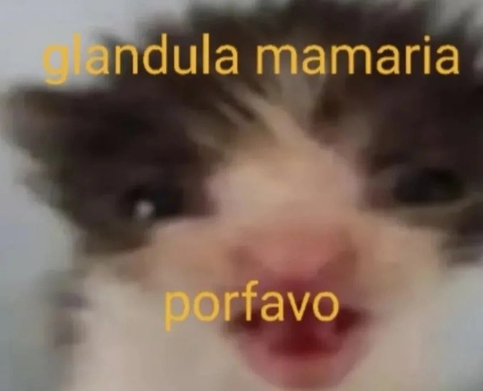 wikipistacho's tweet photo. https://t.co/VG51xIvI5X