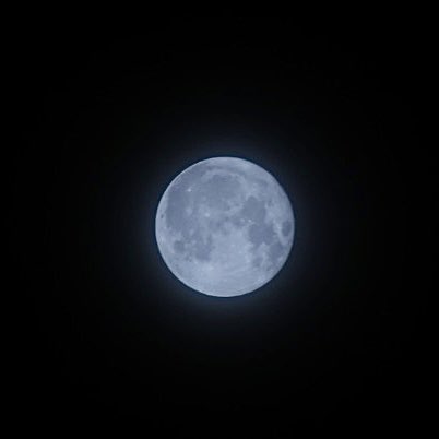 seirisk's tweet photo. 6月30日、満月の夜、のストロベリーームーンです https://t.co/Un0t9kR9G6
