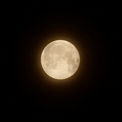 seirisk's tweet photo. 6月30日、満月の夜、のストロベリーームーンです https://t.co/Un0t9kR9G6